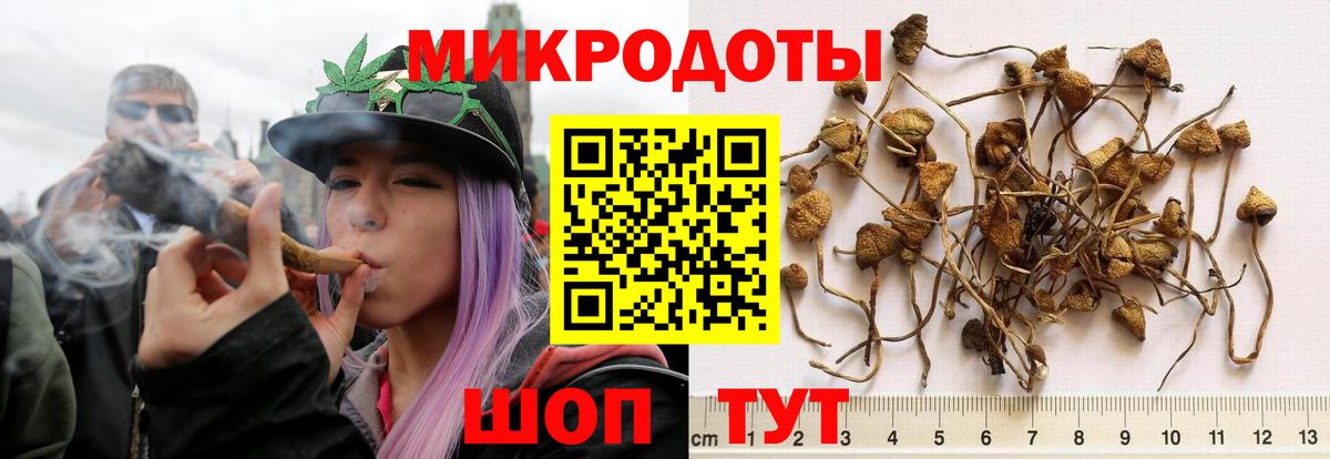 Нефтекамск  Псилоцибиновые грибы Psilocybe  Вход с VPN 